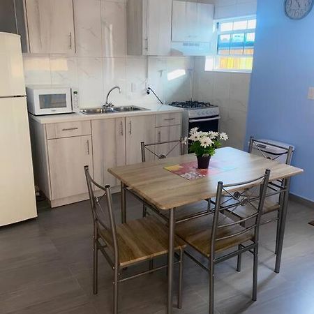 Cozy 1-Bedroom Apartment Close To City Center Willemstad Exteriör bild
